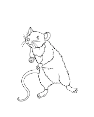 Dancing rat coloring book